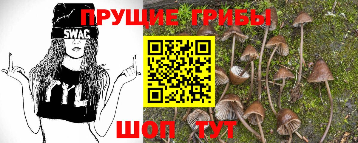 Анапа  Галлюциногенные грибы GOLDEN TEACHER  Вход с VPN 